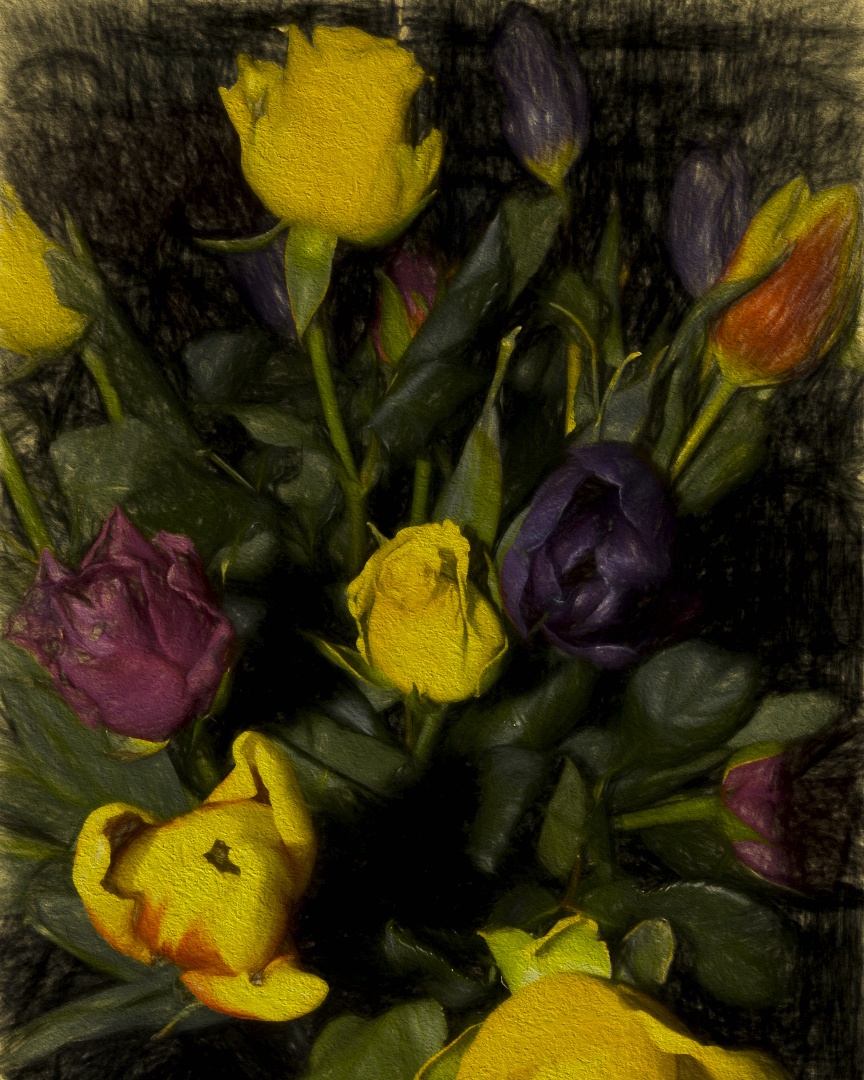 20160411  DSC7558 2