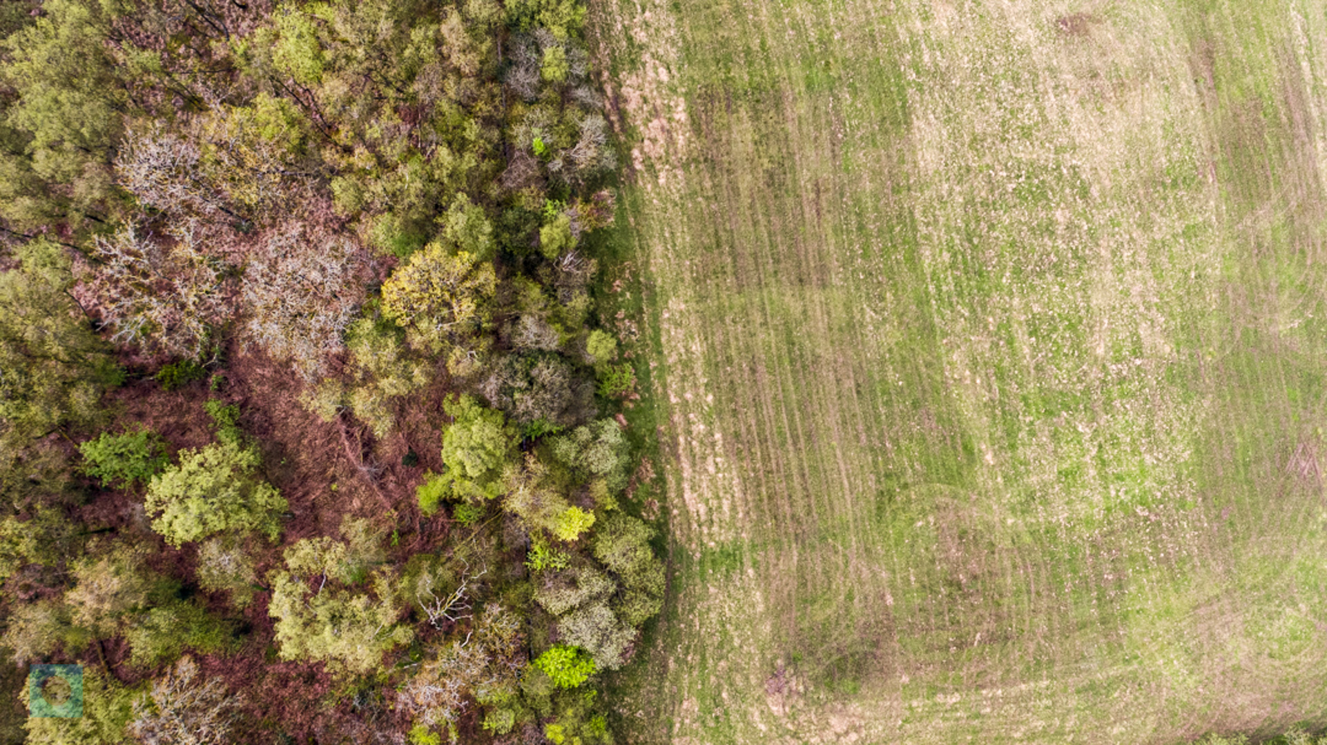 DJI 0042
