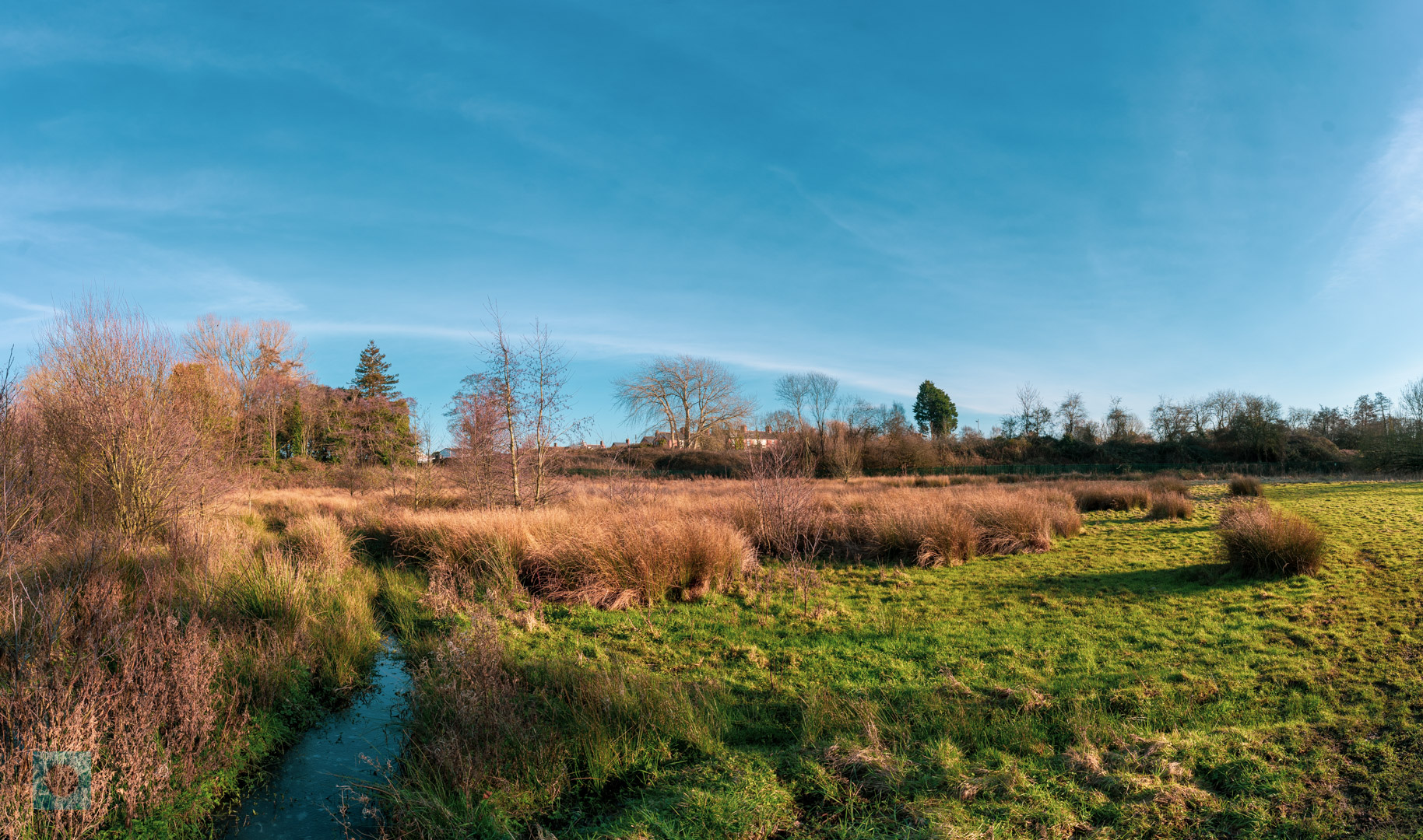 Wetland 1