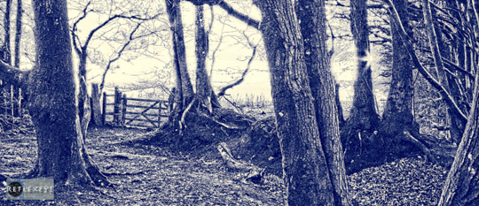 20081225 20081225 IMG 0165 Edit