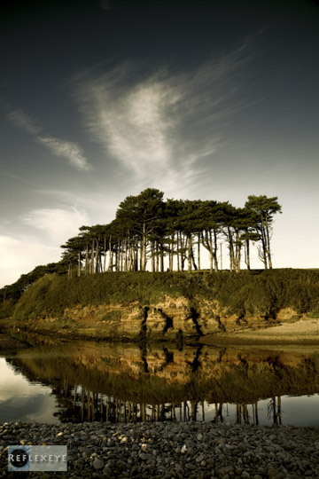 20101017 IMG 0820 3