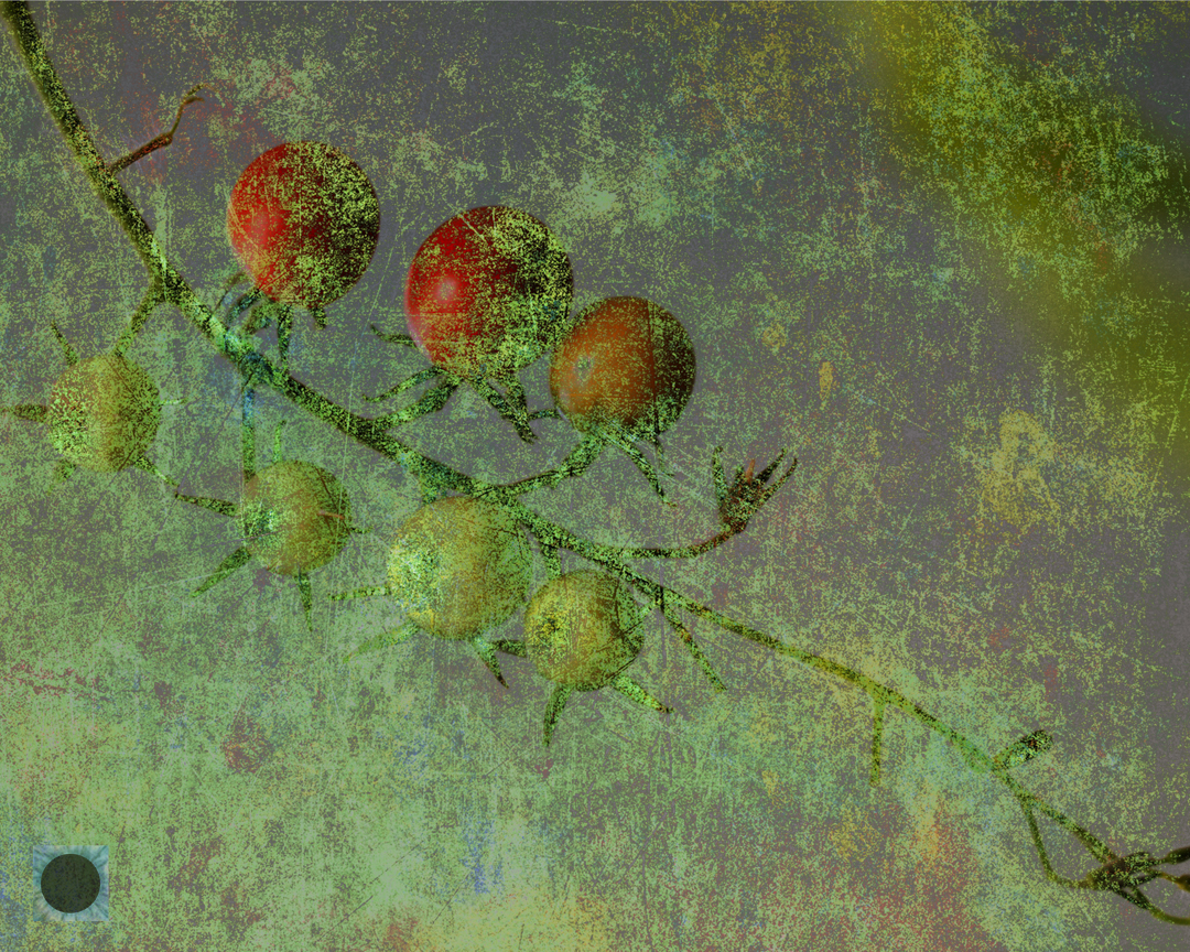 Verdigris Vine
