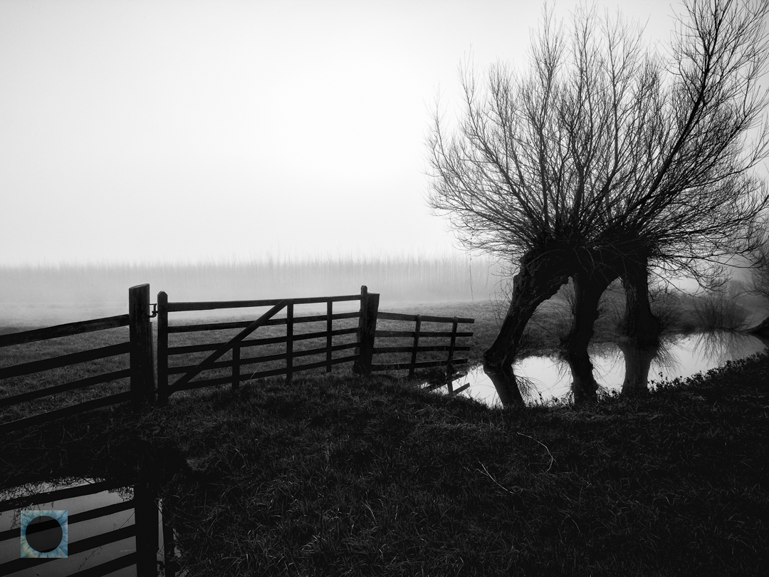 Homage to The Scottish Play