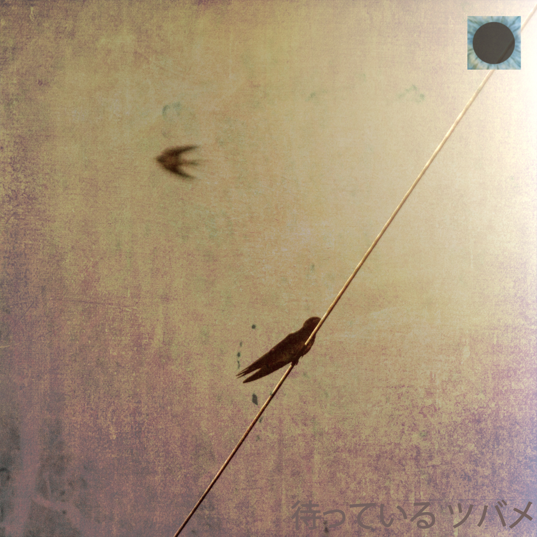 Waiting Swallow - Tryptic pt2