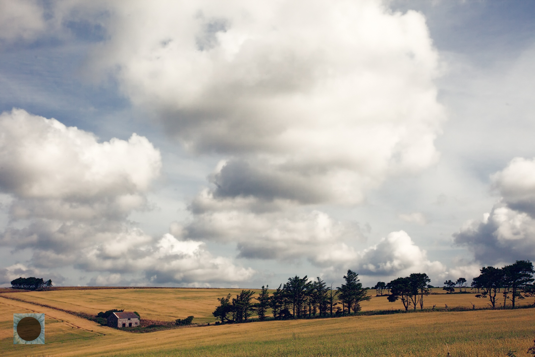 Cumulous Cameo