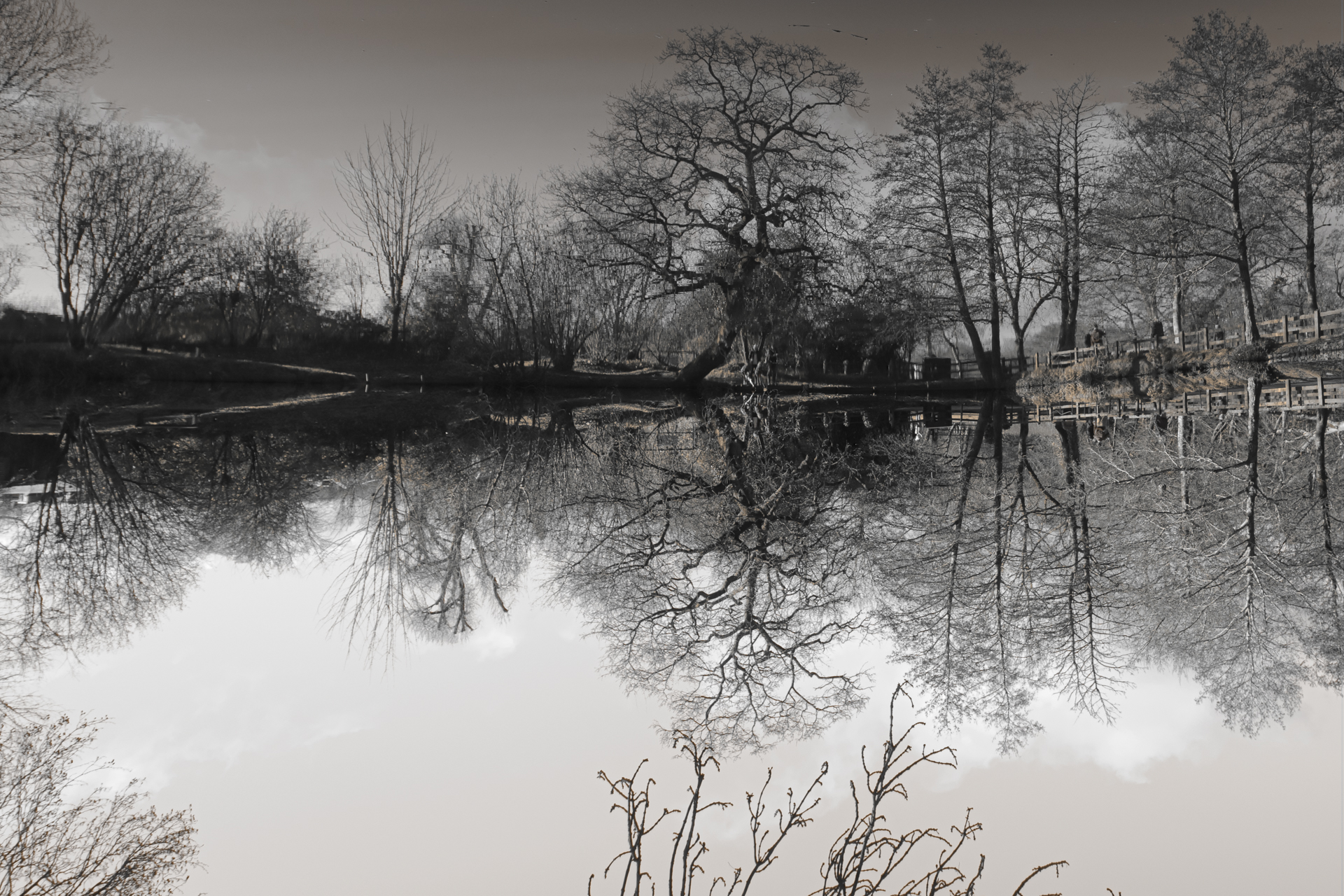 Wellington Basins Reflection 2.