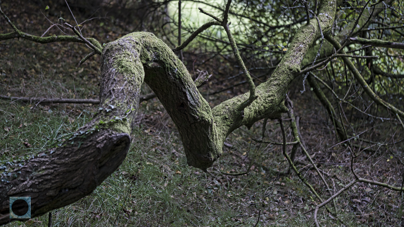  DSC5050 Edit