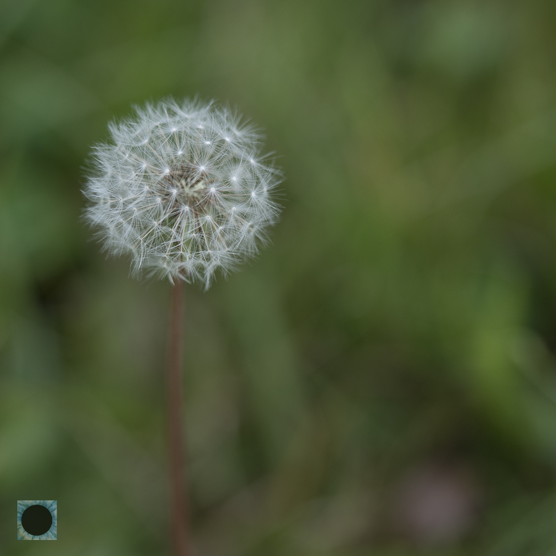  DSC5066