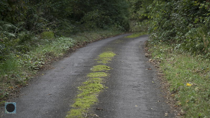  DSC5141