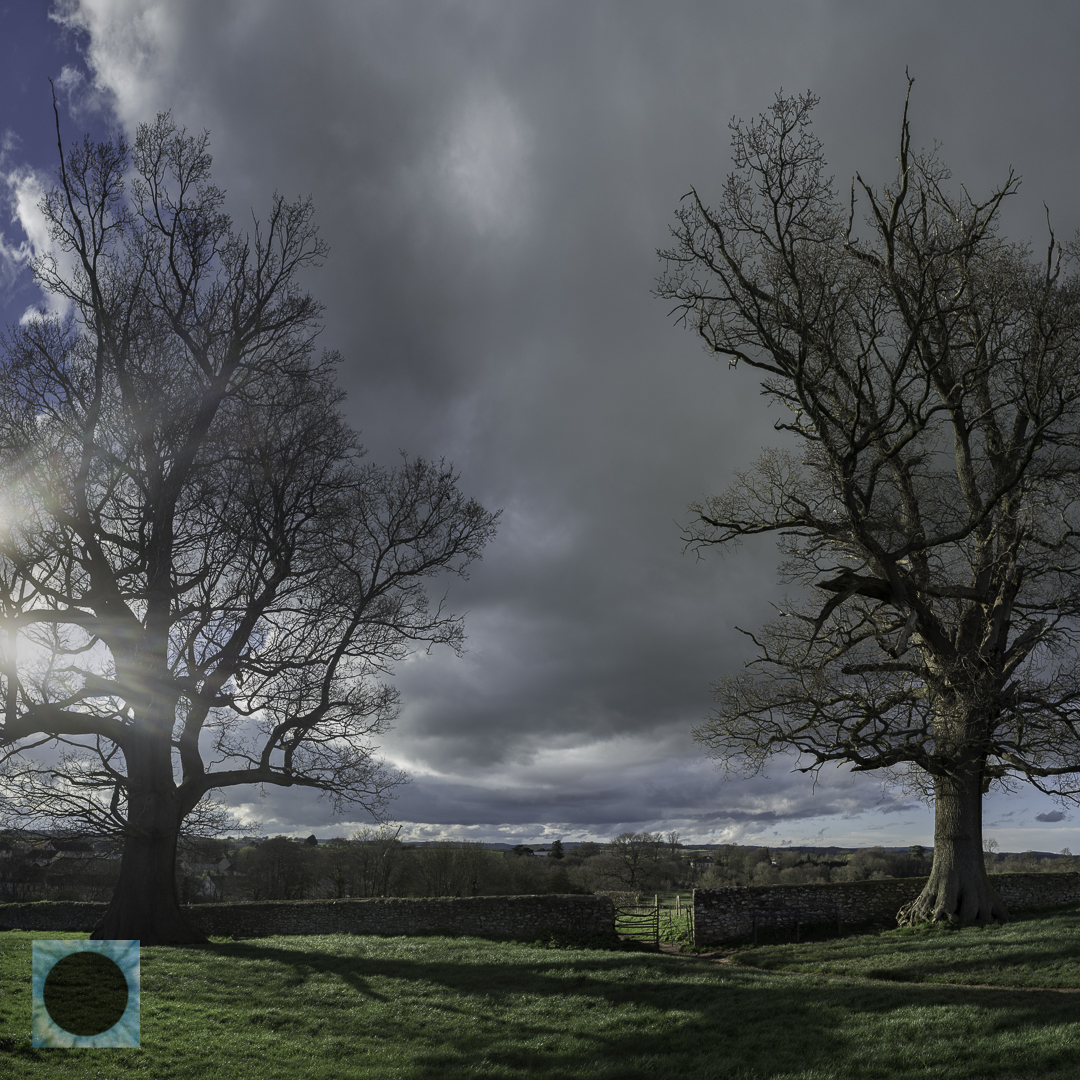Common Land -  A Shrinking Asset