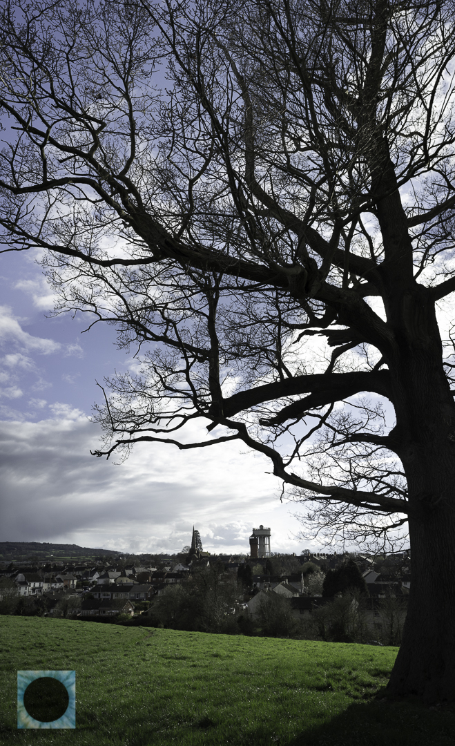 View to the towers