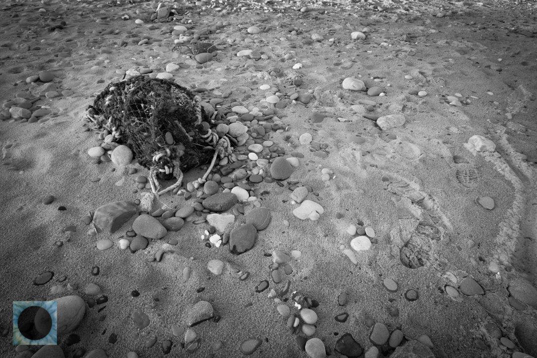 Lobster Trap.