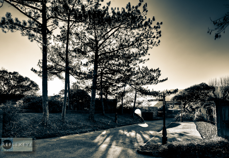 Jacobs gardens
