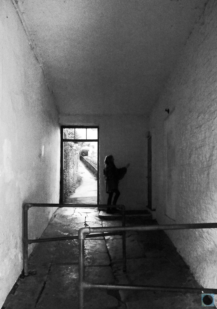  DSC7783 Edit EditDXO Edit Edit